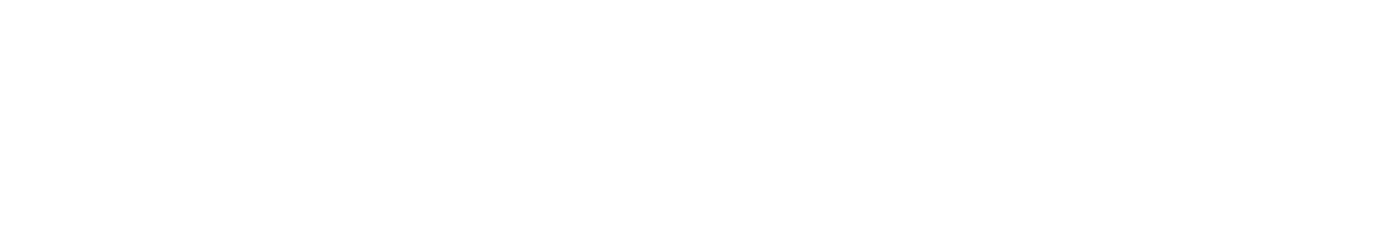 CleanCarpet